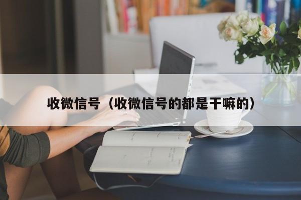 收微信号（收微信号的都是干嘛的）